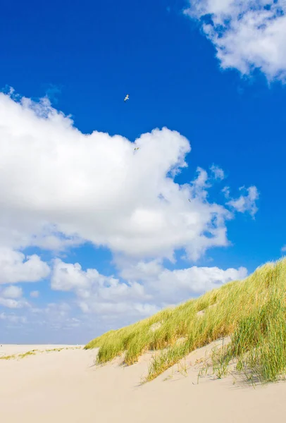 Bela Paisagem Marinha Vista Panorâmica Natureza — Fotografia de Stock