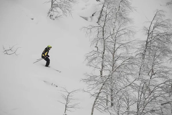 Freeride Lyžař Svahu Divokých Hill Lesa Zimě Laponsko — Stock fotografie