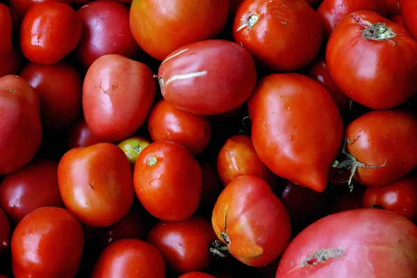 Vista Perto Tomates Orgânicos Vermelhos Maduros Frescos — Fotografia de Stock