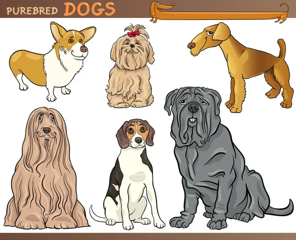 Dessin Animé Illustration Comique Races Canines Chiens Race Pure Set — Photo