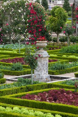 Gardens and Chateau de Villandry  in  Loire Valley in France clipart