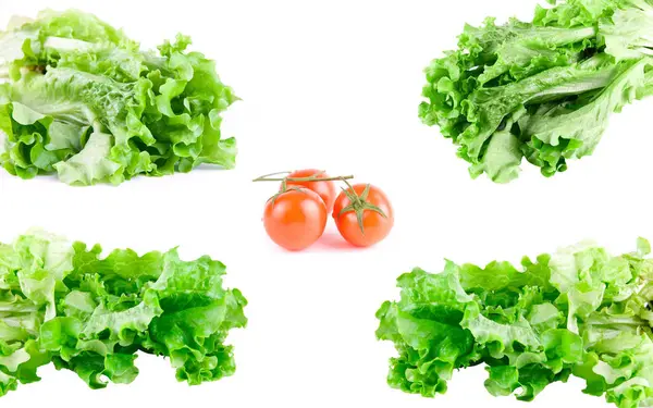 绿色生菜套和番茄隔离在白色 — 图库照片