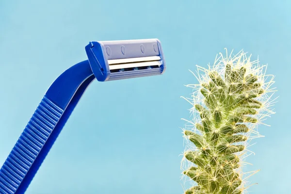 Afeitado Seguridad Azul Cactus Espinoso Verde Orientación Álbum — Foto de Stock