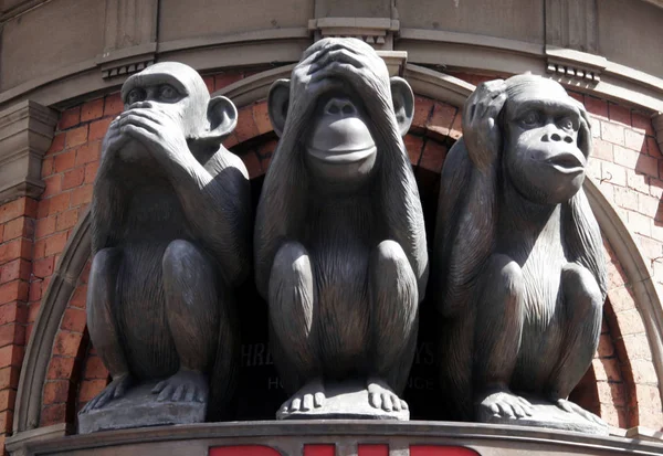 Tres Monos Con Caras Diferentes Hablar Ver Escuchar — Foto de Stock