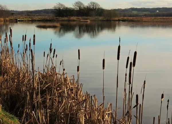 Una Tranquila Escena Del Lago Fotografiada Una Reserva Natural Lancashire — Foto de Stock