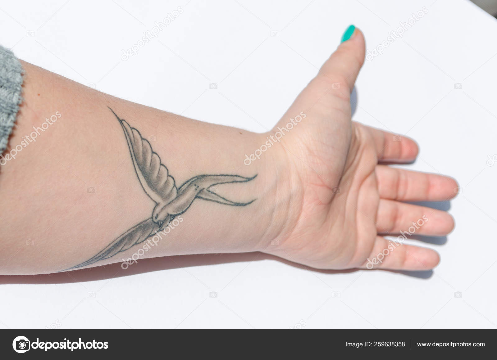 Humming bird tattoo ideas #tattoo #piercing #ink #fyp #goviral, image size:1600x1160