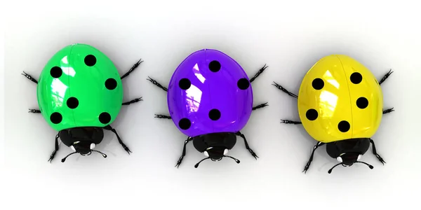 Ladybirds White Background — Stock Photo, Image