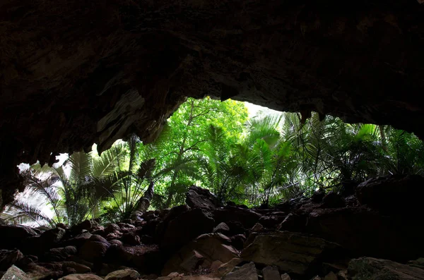 Vista Desde Cueva Selva Tropical Hup Tat Tailandia — Foto de Stock