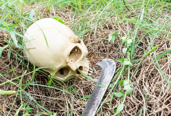 Calavera Naturaleza Muerta Con Cuchillo Jardín Como Una Especie Arte — Foto de Stock