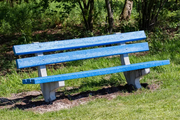 Modré Lavice Veřejném Parku Nizozemsko — Stock fotografie