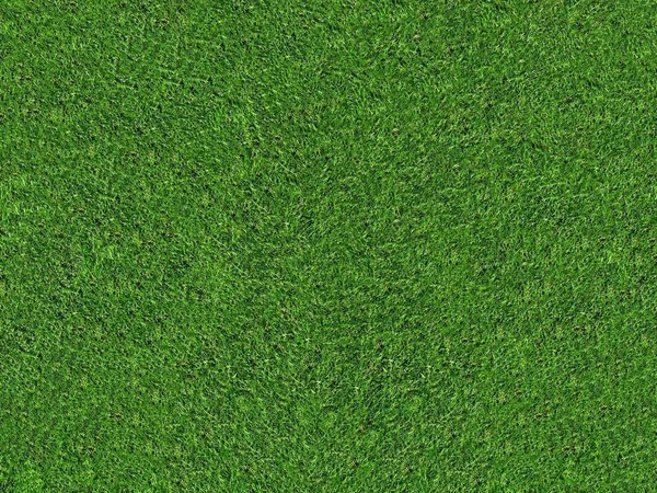 Yüksek Çözünürlükte Doğal Yeşil Çim Alan Dokusu — Stok fotoğraf