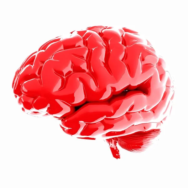 Cérebro Humano Medicina Ilustração — Fotografia de Stock