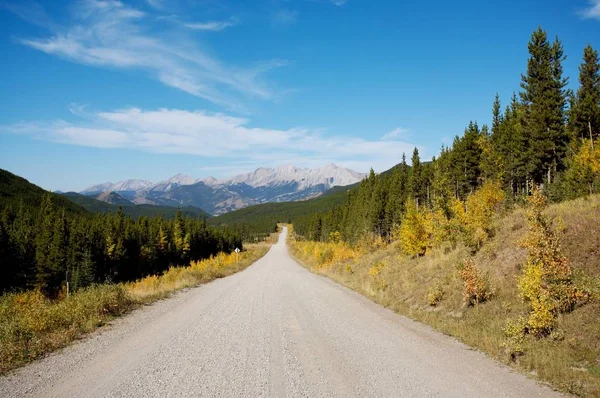 Indietro Paese Strada Sterrata Sulle Montagne Rocciose Alberta Canada — Foto Stock