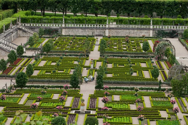 Jardín Cocina Chateau Villandry Valle Del Loira Francia — Foto de Stock