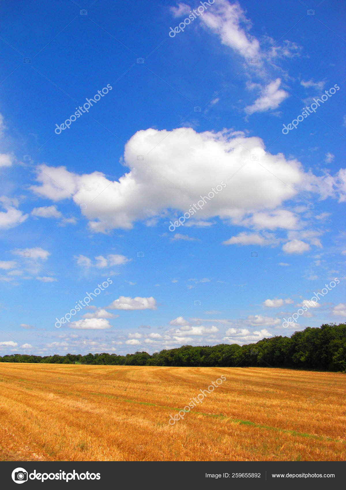 Champ Heure Jour Image Libre De Droit Par Yayimages C 259655892