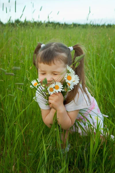 Petite Fille Embrasse Les Fleurs Sauvages Camomilles — Photo