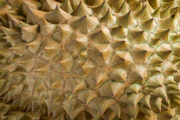 Fermer Durian Peler Roi Des Fruits Thaïlande — Photo