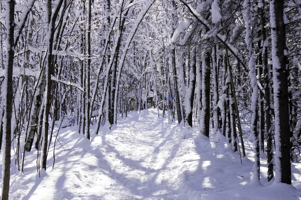 Piękna Panorama Przyrody Natura Koncepcja Podróży — Zdjęcie stockowe