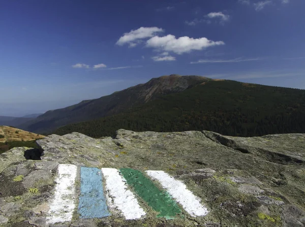 Verano Montaña Beskidy Babia Gra Polonia —  Fotos de Stock