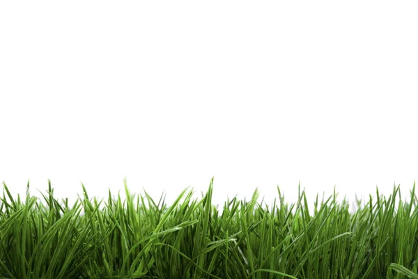 Frame Background Green Grass Isolated White Background — Stock Photo, Image