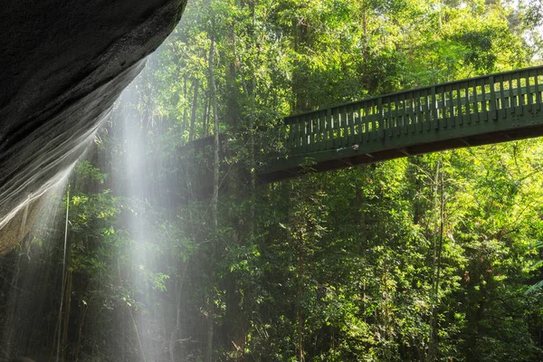 Serenity Falls Buderim Sunshine Coast Australia Located Buderim Forest Waterfall — Stock Photo, Image