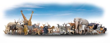 animal of the world with blue sky clipart