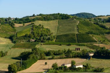 In the picture a beautiful view of the hills of Piacenza (Castell'Arquato) and its vineyards. clipart