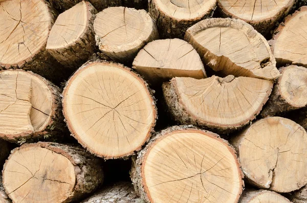 Chopped Stacked Wooden Logs Fireplace — Stock Photo, Image