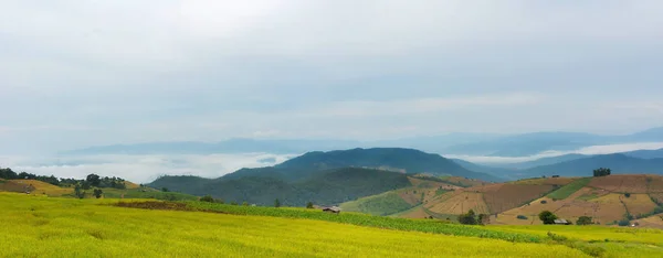 Tarasy Ryżowe Chiang Mai Tajlandia — Zdjęcie stockowe