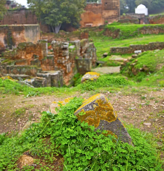 Chellah Marruecos África Viejo Monumento Romano Deteriorado Sitio — Foto de Stock