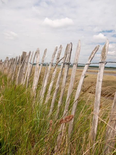 Wooden Sea Country Fence Close Leading Path — Stock Photo, Image