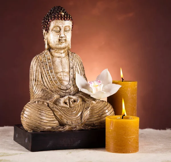 Estatua Buda Con Flor Orquídea —  Fotos de Stock