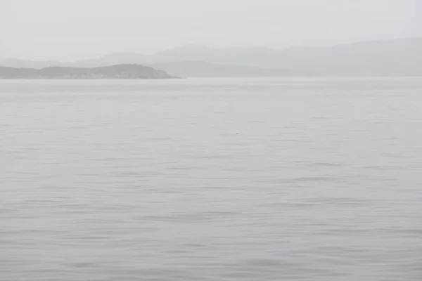 Seascape Greenland Foggy Day Mountains Rain Calm Water — Stock Photo, Image