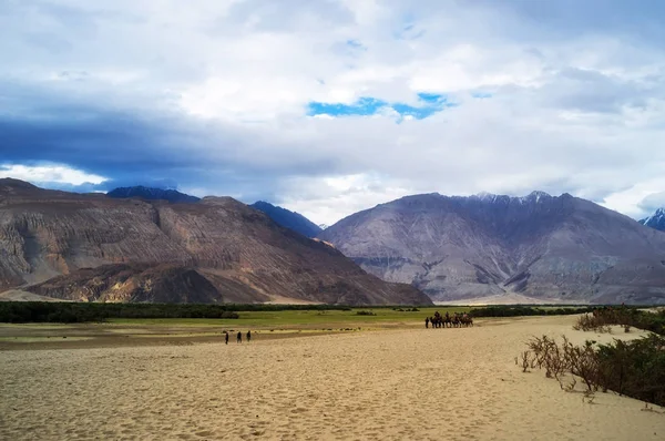 Leh Ladakh Jammu Kashmir Hindistan Daki Nubra Vadisi Nin Hunder — Stok fotoğraf