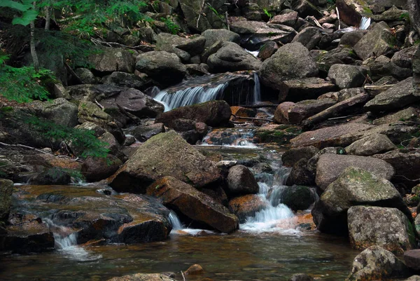 Image Une Petite Chute Eau Naturelle Été — Photo