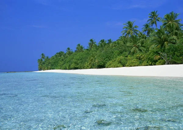 热带景观 白天有空的沙滩和蓝色平静的大海 — 图库照片