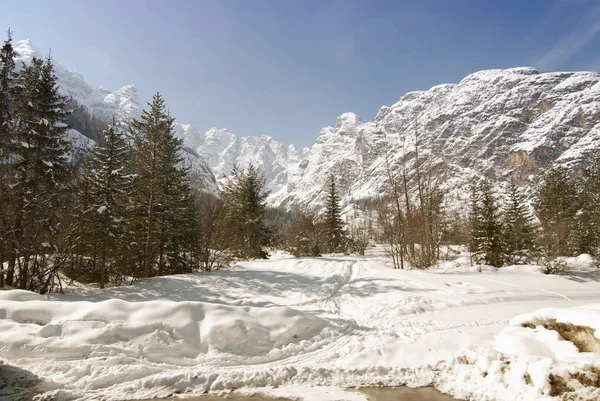 Dolomitlerin Kalbinde Soğuk Kış Veneto Kuzey Talya — Stok fotoğraf