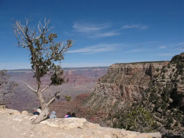 Panorama Célèbre Grand Canyon South Rim Lors Une Belle Journée — Photo