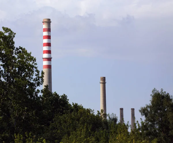 Picture Few Industrial Chimney Forest Foreground — Stock Photo, Image