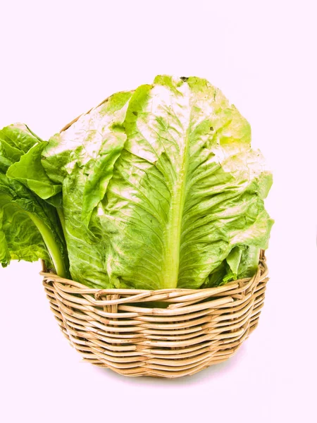 Fresh Cos Salad Ratten Basket Isolated White Background — 图库照片