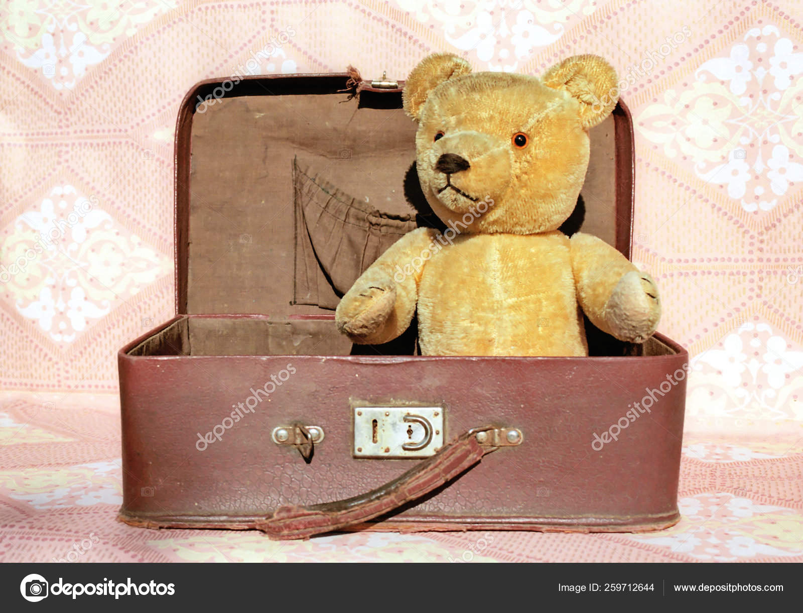 teddy suitcase