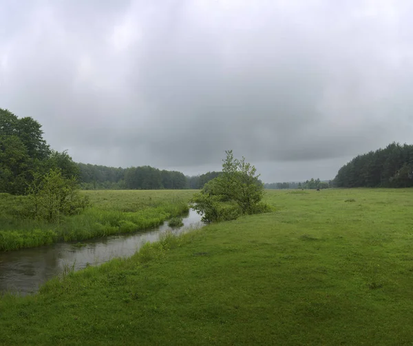 Río Verde Que Fluye Través Del Campo Verde Una Mañana — Foto de Stock