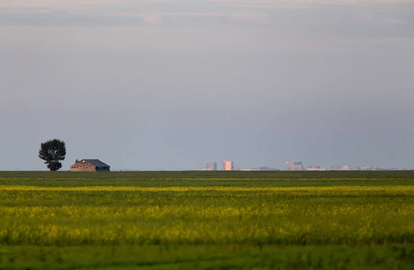 Abandonado Farm Building Com Regina Saskatchewan Segundo Plano — Fotografia de Stock