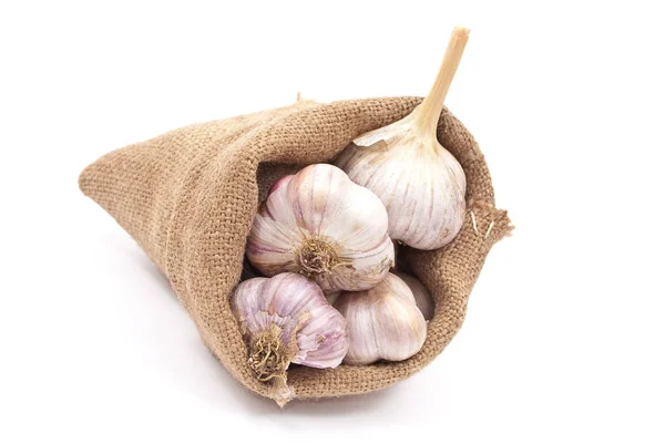 Burlap Sack Garlic — Stock Photo, Image