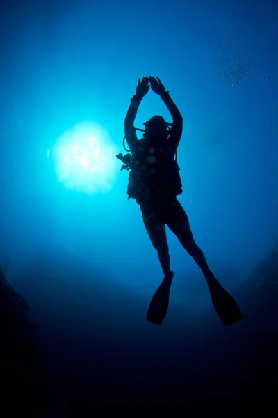 Scuba Diver Cieszy Krystalicznie Czyste Wody Wybrzeża Karaibów — Zdjęcie stockowe