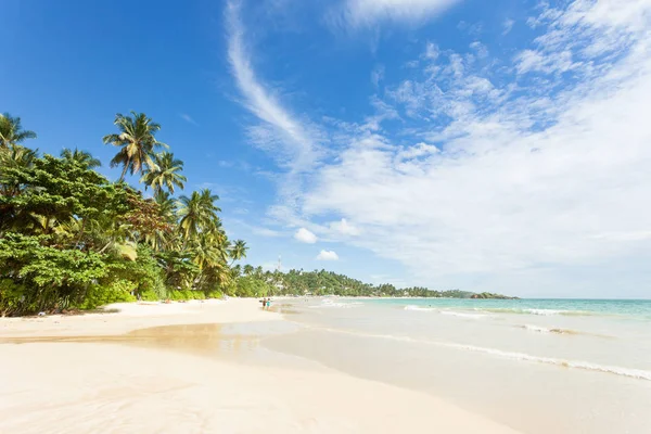 Mirissa Beach Sri Lanka Asia Una Vista Través Maravillosa Playa — Foto de Stock
