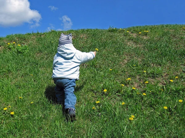 草と青い空に花を持つ小さな子供 — ストック写真