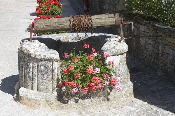 Nahaufnahme Des Alten Blühenden Brunnens — Stockfoto