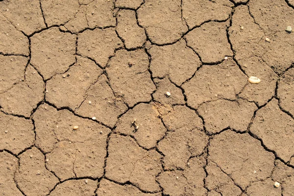 Cracked Brown Ground Surface Close Natural Background — Stock Photo, Image