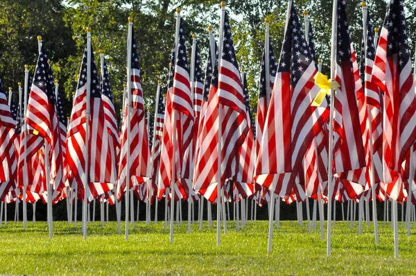 Bandiere Americane Tutte Fila — Foto Stock